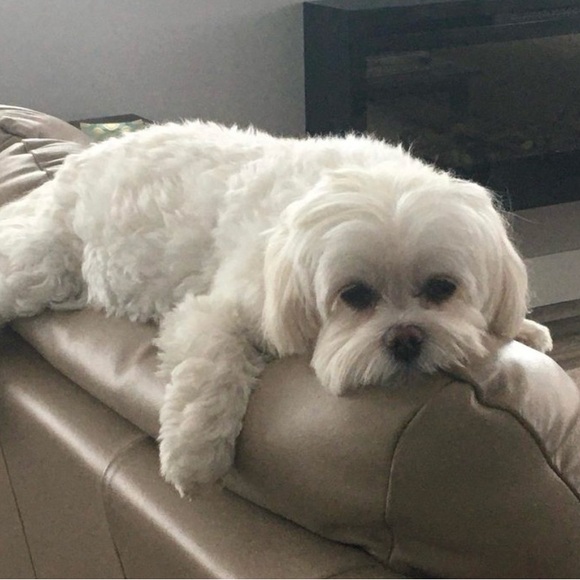 Meet your Posher, Denise 🌻 - Picture 2 of 2